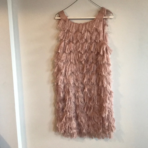 Zara pink blush fringe dress - Picture 4 of 5